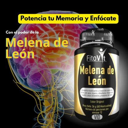 MELENA DE LEON X60 UND FITOVIT